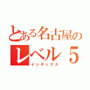 とある名古屋のレベル５（インデックス）