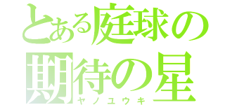 とある庭球の期待の星（ヤノユウキ）