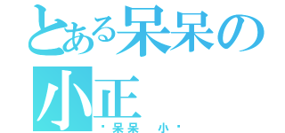 とある呆呆の小正（™呆呆 小㊣）