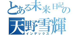 とある未来日記所有者の天野雪輝（インデックス）