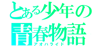 とある少年の青春物語（アオハライド）