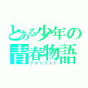 とある少年の青春物語（アオハライド）