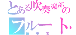 とある吹奏楽部のフルート♪（演奏家）