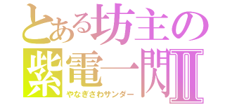 とある坊主の紫電一閃Ⅱ（やなぎさわサンダー）