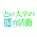 とある大学の飼育活動（リトルファーム）