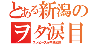 とある新潟のヲタ涙目（ワンピースが早朝放送）