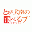 とある犬南の飛べるブタ（三堀りょうと）