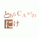 とあるＣＡＳ主のにけ（）