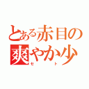 とある赤目の爽やか少年（セト）