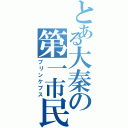 とある大秦の第一市民（プリンケプス）