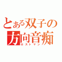 とある双子の方向音痴（ロストマン）