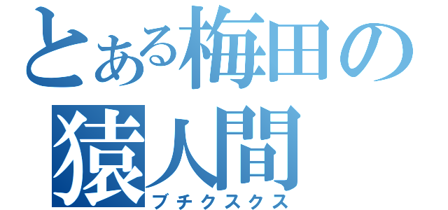 とある梅田の猿人間（ブチクスクス）