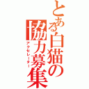 とある白猫の協力募集Ⅱ（アクセレーター）