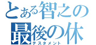 とある智之の最後の休日（テスタメント）