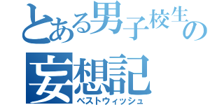 とある男子校生の妄想記（ベストウィッシュ）