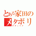 とある家田のメタボリックシンドローム（テディベア）