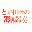 とある田舎の弦楽器奏者（ギタリスト）