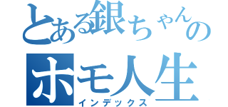 とある銀ちゃんのホモ人生（インデックス）