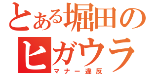 とある堀田のヒガウラ（マナー違反）