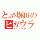 とある堀田のヒガウラ（マナー違反）