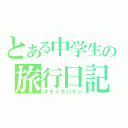 とある中学生の旅行日記（オモイデバナシ）