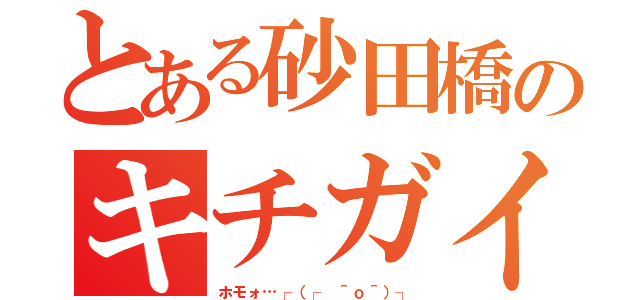 とある砂田橋のキチガイ（ホモォ…┌（┌ ＾ｏ＾）┐）