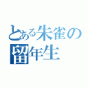 とある朱雀の留年生（）