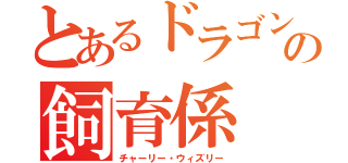 とあるドラゴンの飼育係（チャーリー・ウィズリー）