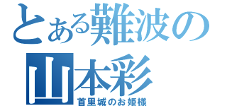 とある難波の山本彩（首里城のお姫様）