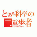 とある科学の二重歩者（ドッペルゲンガー）