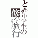 とある中学生の修学旅行（エクスカーション）