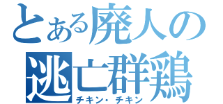 とある廃人の逃亡群鶏（チキン・チキン）