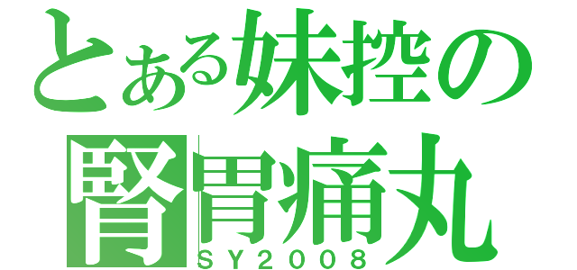 とある妹控の腎胃痛丸（ＳＹ２００８）