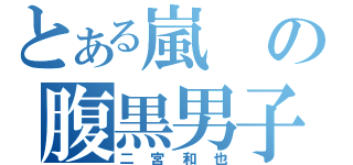 とある嵐の腹黒男子（二宮和也）