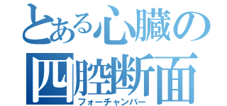 とある心臓の四腔断面（フォーチャンバー）