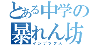 とある中学の暴れん坊（インデックス）