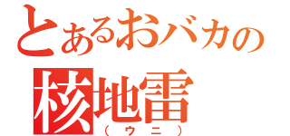 とあるおバカの核地雷（（ウニ））