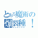 とある魔術の爆裂種！（インデックス）