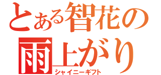 とある智花の雨上がりに咲く花（シャイニーギフト）