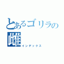 とあるゴリラの雌（インデックス）