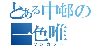 とある中邨の一色唯（ワンカラー）