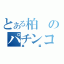 とある柏のパチンコ店（楽園）