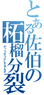 とある佐伯の柘榴分裂（かっつかつにしてやんよ）