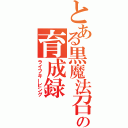 とある黒魔法召喚士の育成録（ライフキーピング）