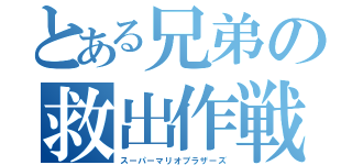 とある兄弟の救出作戦（スーパーマリオブラザーズ）