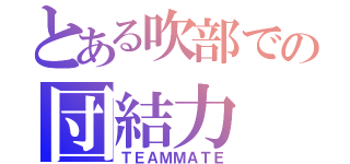 とある吹部での団結力（ＴＥＡＭＭＡＴＥ）