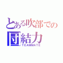 とある吹部での団結力（ＴＥＡＭＭＡＴＥ）