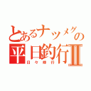 とあるナツメグの平日釣行Ⅱ（日々修行）