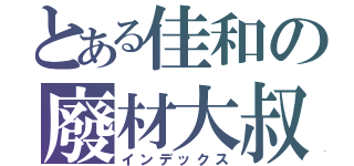 とある佳和の廢材大叔（インデックス）