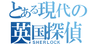 とある現代の英国探偵（ＳＨＥＲＬＯＣＫ）